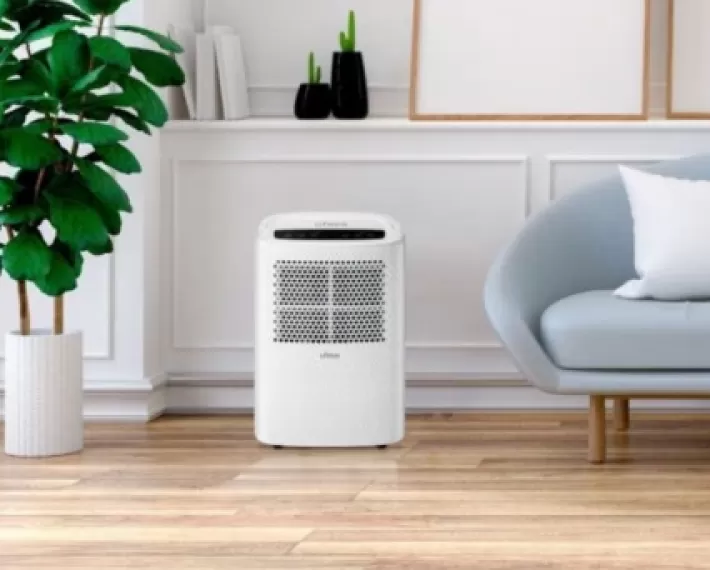 Dehumidifier